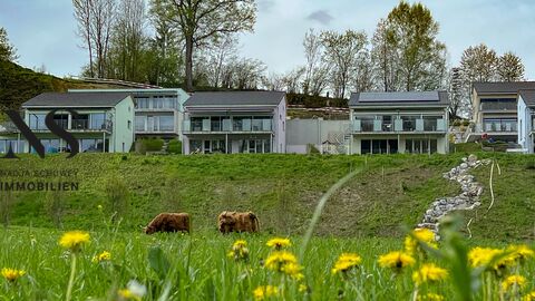 Terrassenhaus D & G Wohnen & Arbeiten