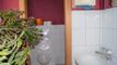 Albergo CH-8590 Romanshorn