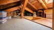 Chalet in Gryon mit separatem Studio, Blick auf die Berge