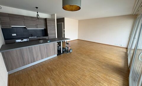 Beautiful 4-room apartment on a high floor in Petit-Lancy