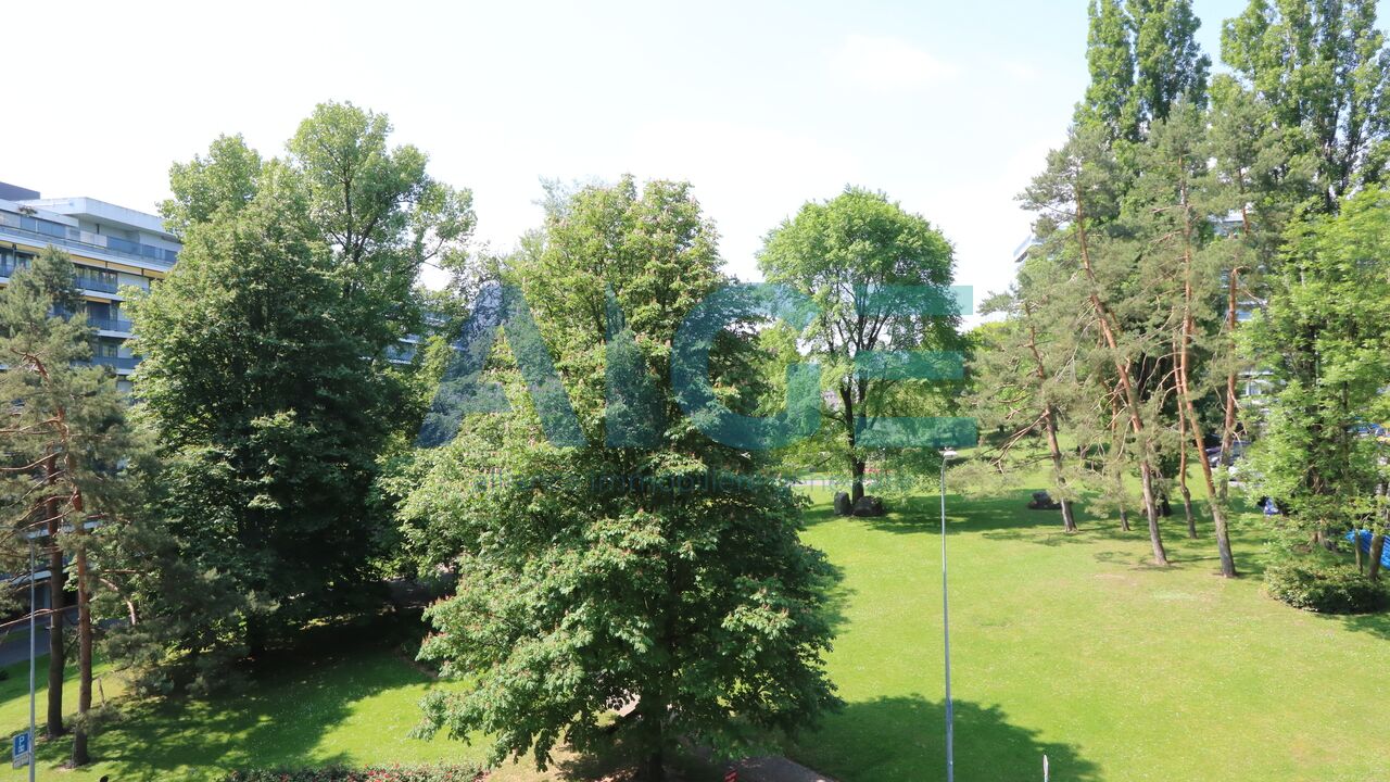 Beautiful bright 5 room apartment in Petit-Saconnex (Budé)