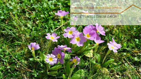 Renovationsbedürftiges Einfamilienhaus an top Lage