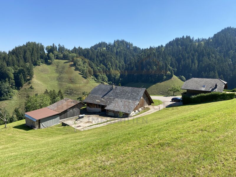 Eine Perle im Luzerner Hinterland – landwirtschaftliche Liegenschaft