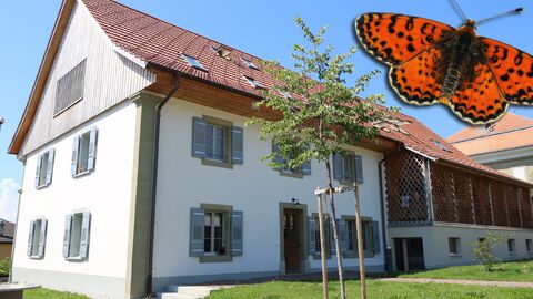 Wohnung CH-1553 Châtonnaye, Route de Fribourg 2A
