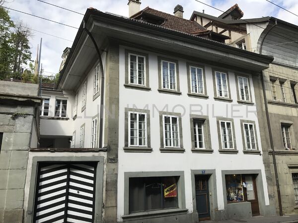 MAGNIFIQUE 3½ PIECES DANS QUARTIER DU BOURG
RENOVE RECEMMENT
