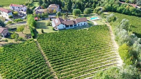 Green Winery - erlesenes Weingut sucht neuen Eigentümer