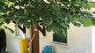 Magnificent independent duplex apartment of 3.5 rooms