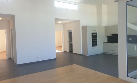 4.5 room apartment of 132 m²