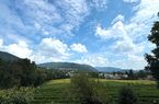 Spaziosa villa con piscina e splendida vista panoramica sui vigneti