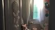 Appartement de 3.5 pièces à louer à Bussigny