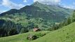 Vendu : Au-dessus de la Forclaz / VD : chalet authentique