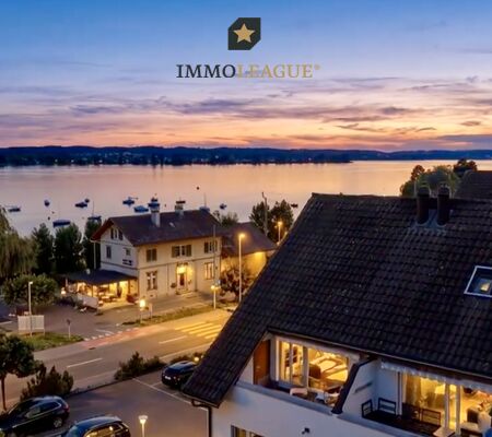 Weitblick über den Untersee