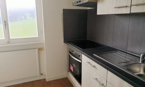 Renovated 3.5 room apartment