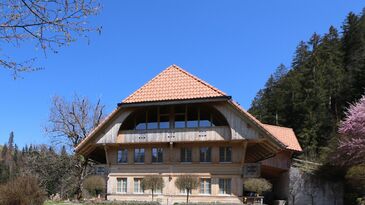 [IMG 6174]