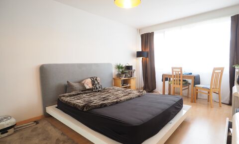 Beautiful 1.5 room apartment near the Basel exhibition center