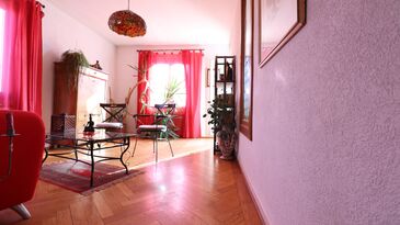 [IMG 6242]