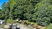 Commercial property with apartment in Neuenegg