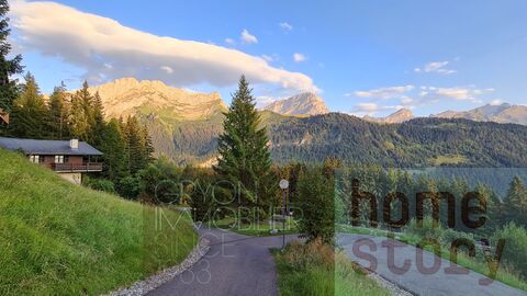 Gryon Immo propose un charmant chalet de 4 pièces proche des pistes