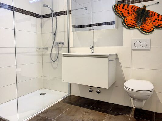 Salle de douche