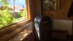 Vendu : Splendide chalet de deux appartements au-dessus du village du Sépey