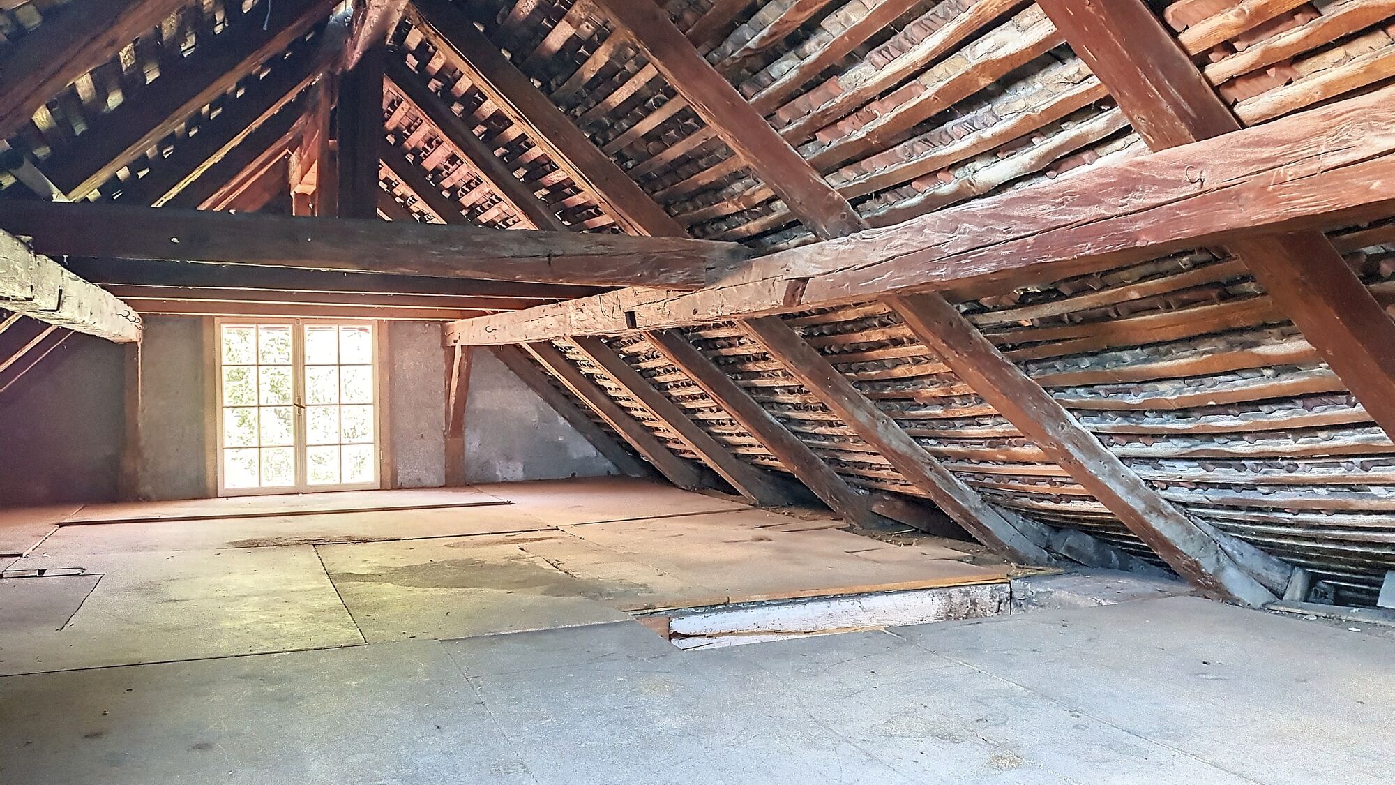 Picture 24