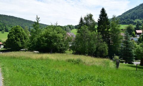 Beautiful serviced plot of 894 m2