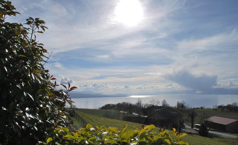 Terrain constructible avec vue sur le lac et les Alpes