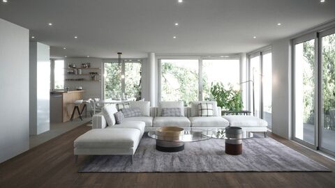 Appartement dans les combles avec terrasse et vue panoramique sur le lac