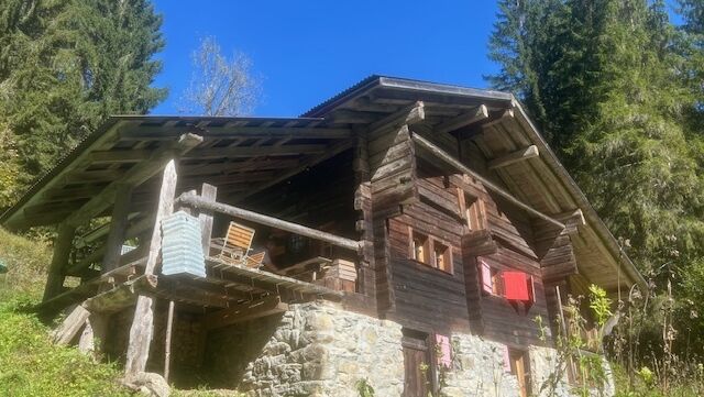 Enfin il y en a un ! Le vrai petit nid au coeur de la nature ! Alors ? Enfin il y en a un ! Le vrai petit nid au coeur de la nature ! Alors ?