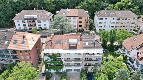 AM FUSSE DES BRUDERHOLZ