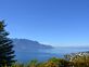 Beau 2.5 pièces avec terrasse, jardin et vue panoramique sur le lac
