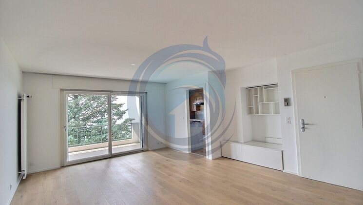 APPARTEMENT DE 3,5 PIÈCES AVEC MAGNIFIQUE VUE SUR LE LAC
