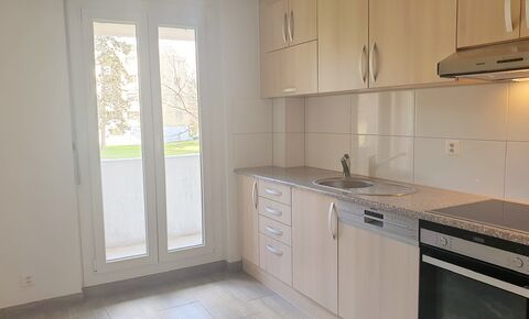 Renovated 2.5 room apartment - 55 m2