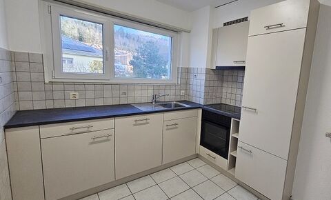 Beau 3.5 pièces - Cuisine NEUVE !
