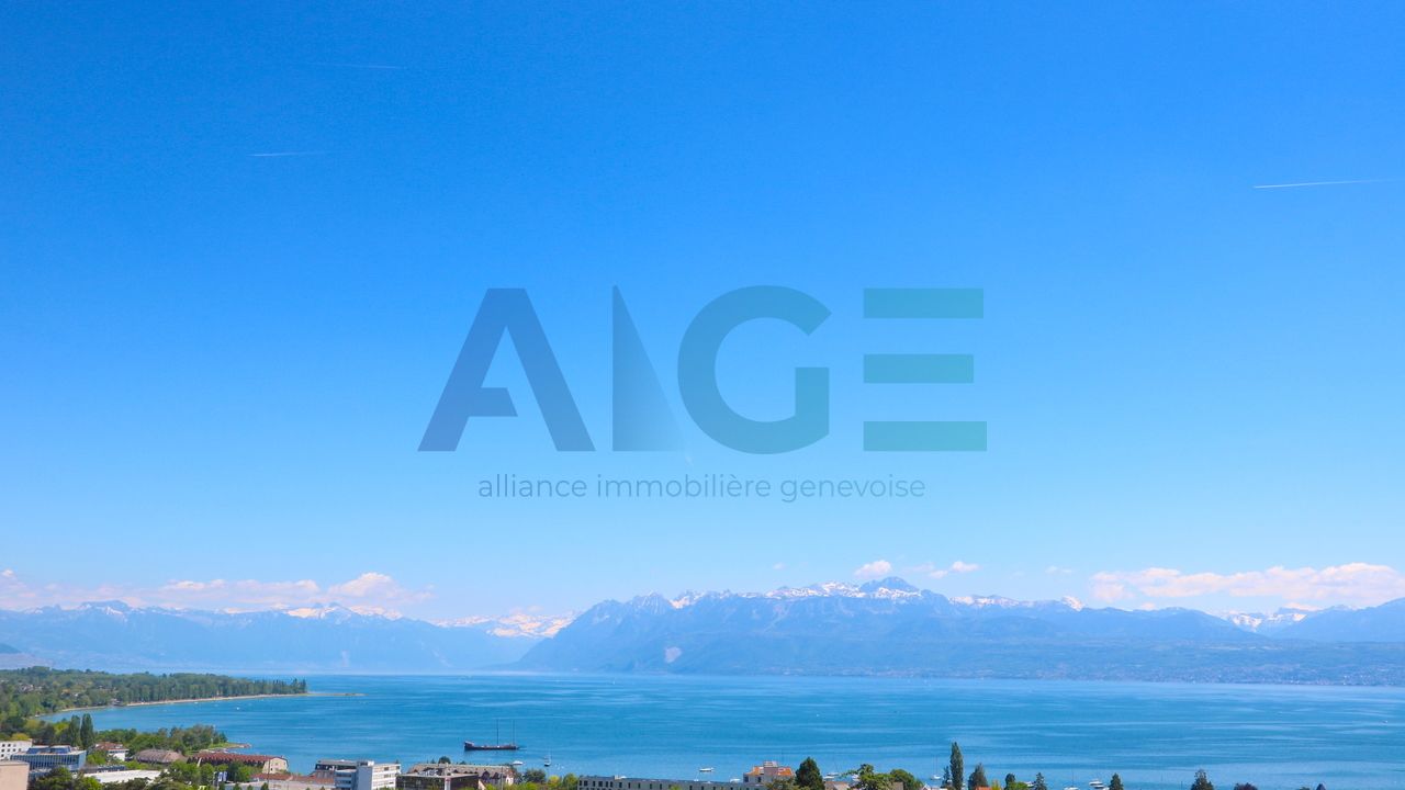 Spectacular view in Morges