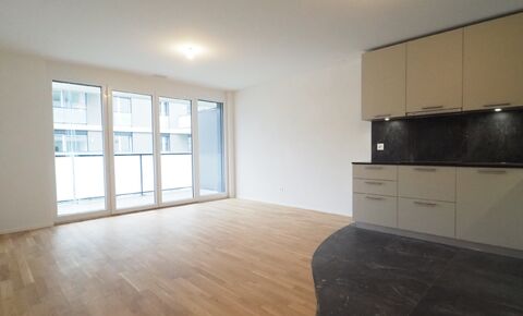 Nouvel appartement central et moderne dans un parc attrayant