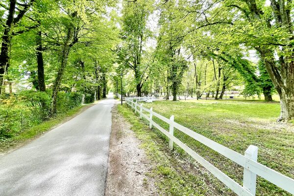 Beautifully renovated villa in Bellevue