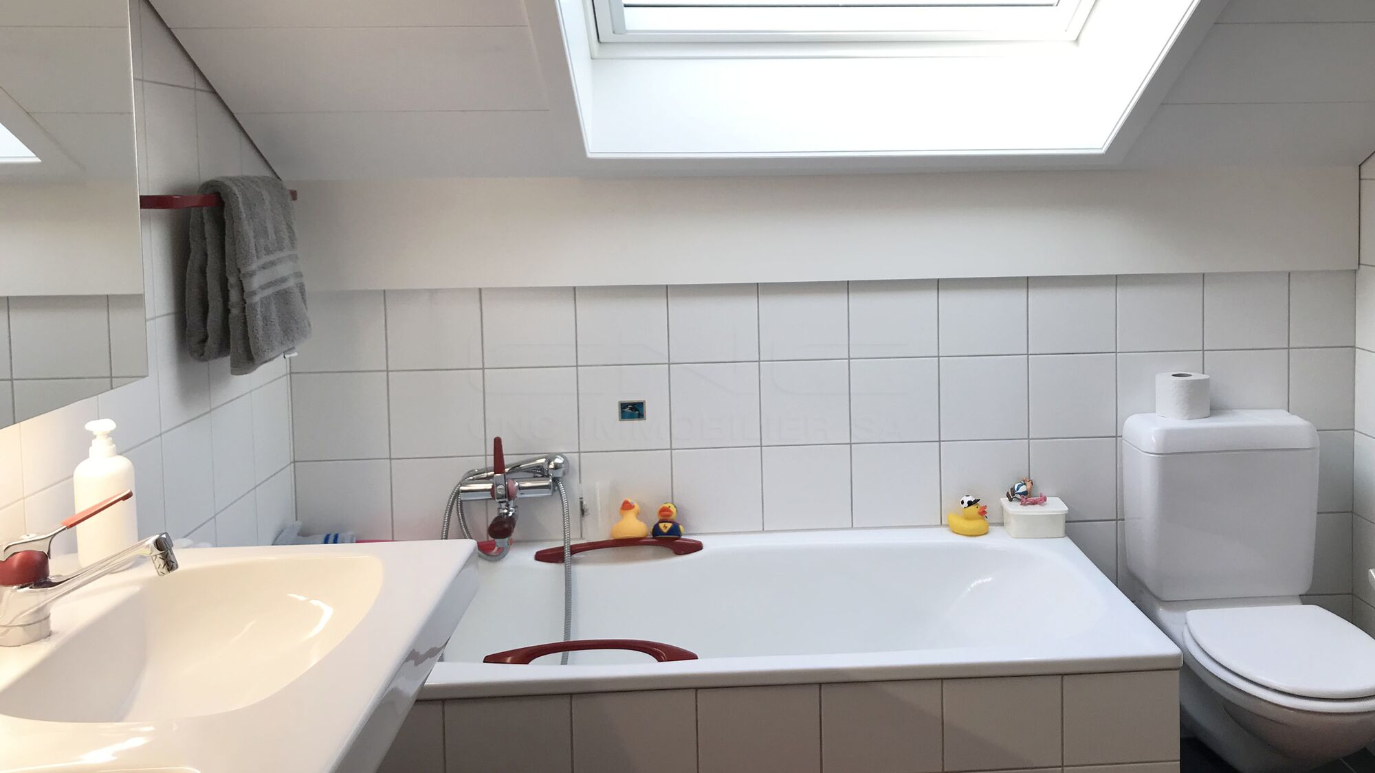 Salle de bains et WC