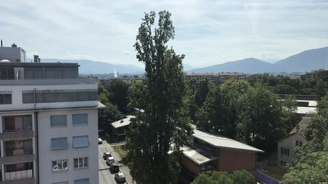 Bel appartement moderne de 3.5 pièces à la Servette