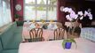 Albergo CH-8590 Romanshorn