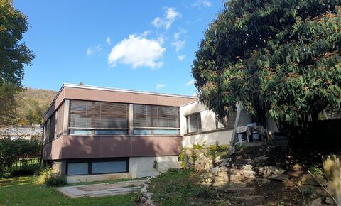 Magnificent architect's house with institute