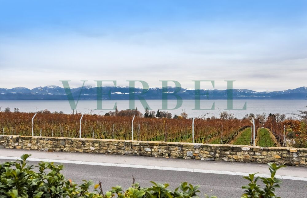Superb iproperty of 6.5 rooms - Panoramic view of the lake