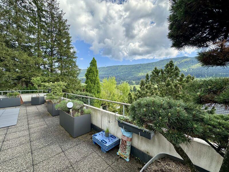 Appartement de 4.5 pièces en terrasse