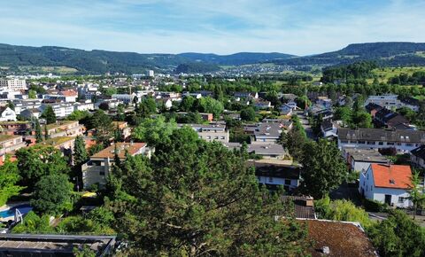 Begehrtes Bauland an bester Aussichtslage in Reinach BL