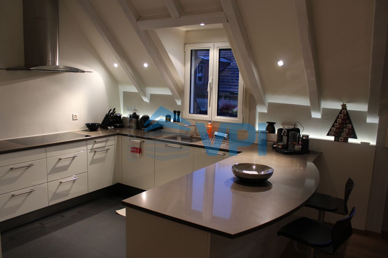 Incroyable appartement à Carouge