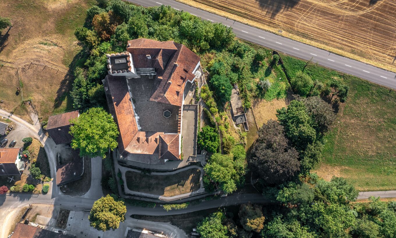 Castle CH-5106 Veltheim AG
