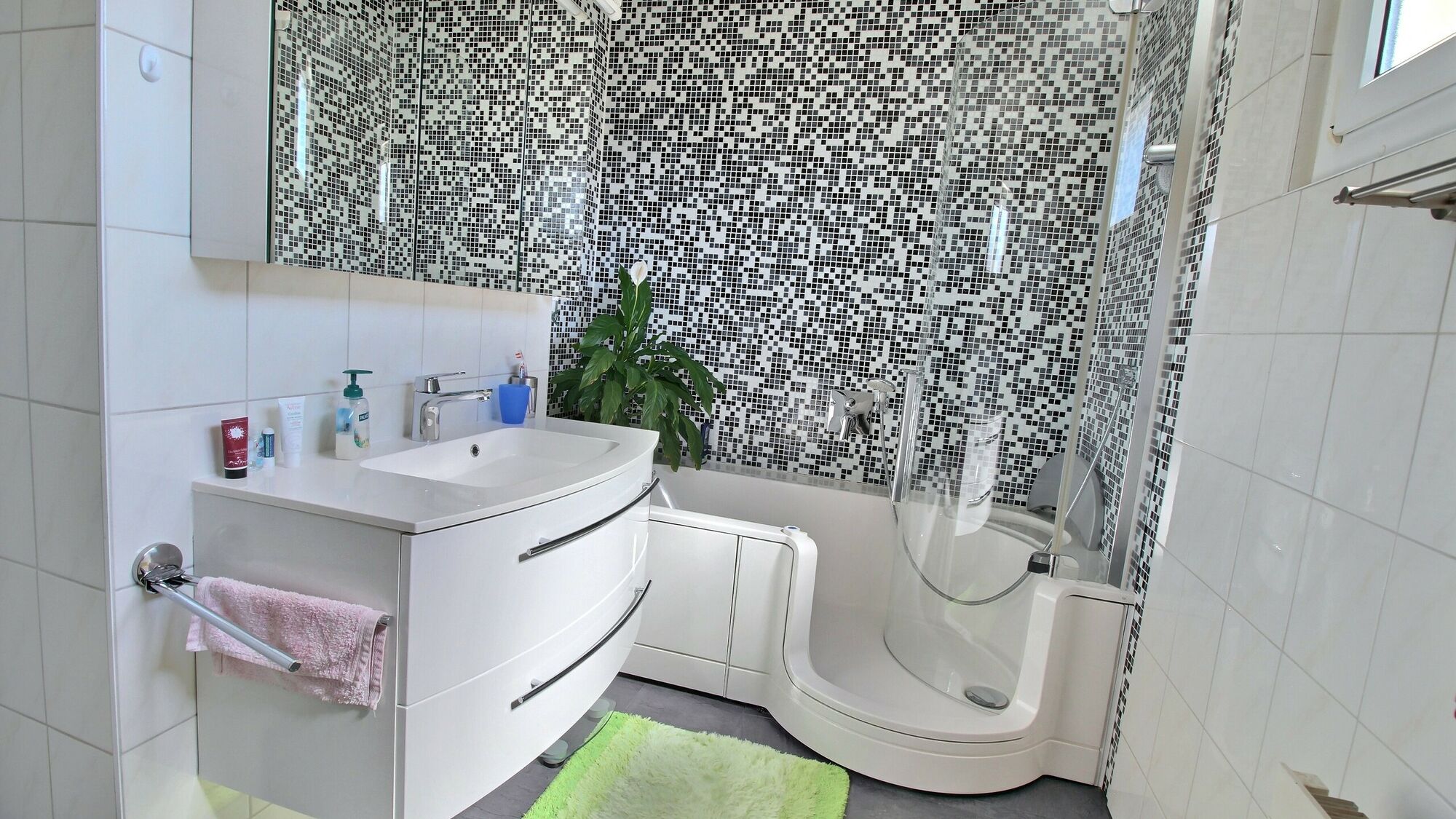 Salle de bains / douche