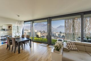 Comfortable penthouse with lake view
