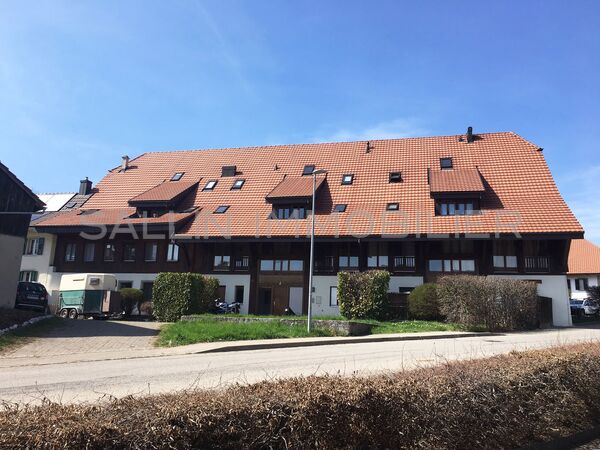 APPARTEMENT AVEC TERRASSE
DANS UNE ANCIENNE FERME RENOVEE