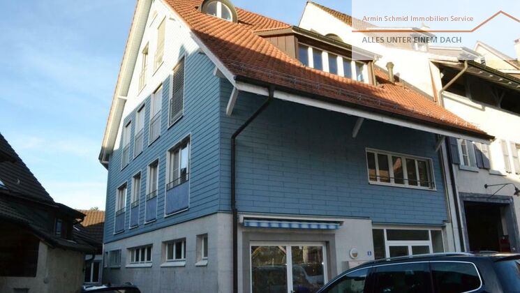 Grosse loftartige 4-Zimmerwohnung